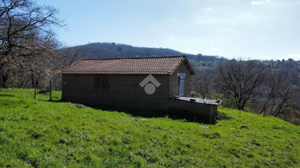 immagine annuncio 9 di 12