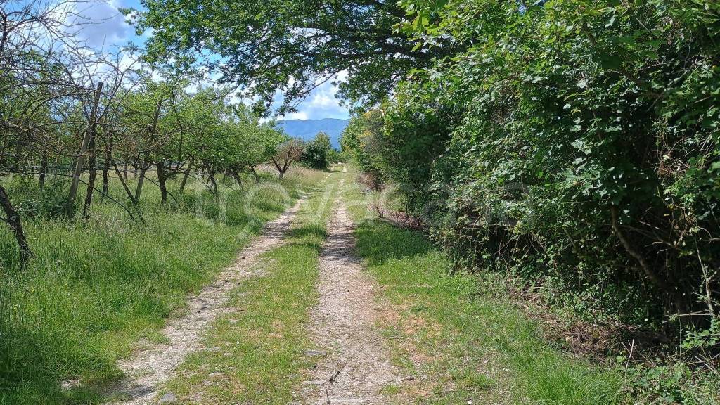 immagine annuncio 2 di 7