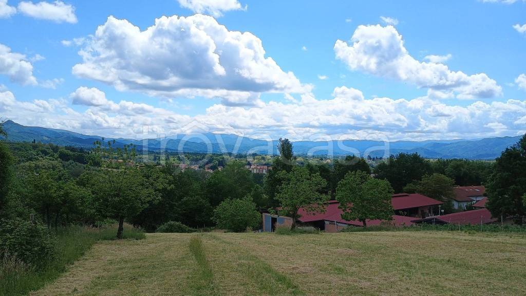 immagine annuncio 4 di 7