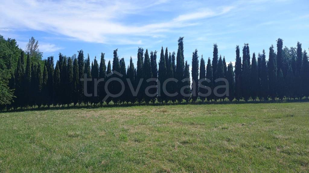 immagine annuncio 5 di 7