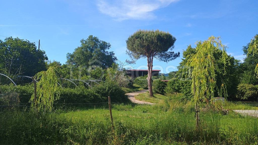 immagine annuncio 6 di 7