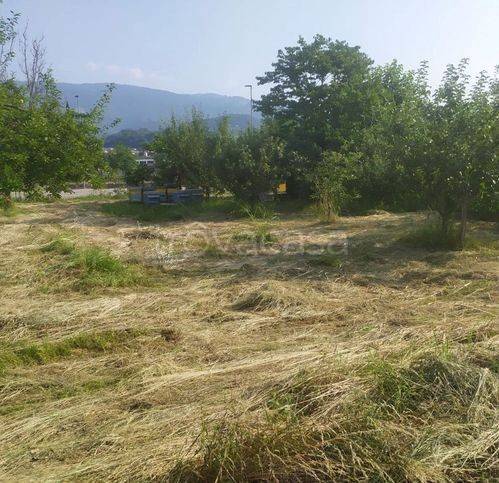 immagine annuncio 1 di 8