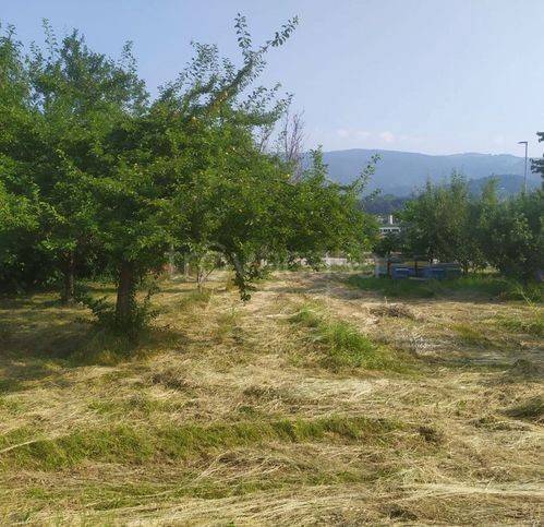 immagine annuncio 2 di 8