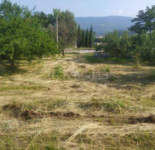 immagine annuncio 3 di 8