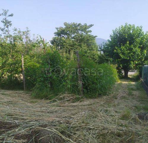 immagine annuncio 4 di 8