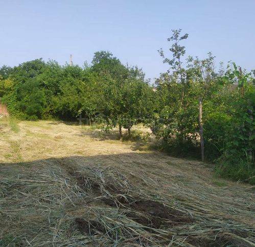 immagine annuncio 5 di 8