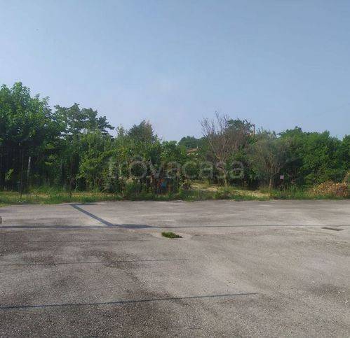 immagine annuncio 7 di 8