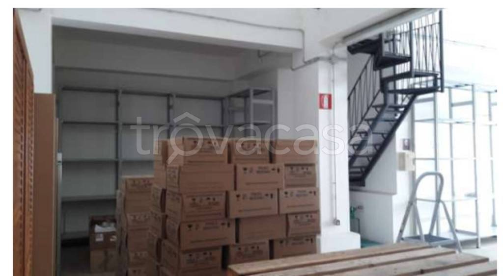 immagine annuncio 4 di 11