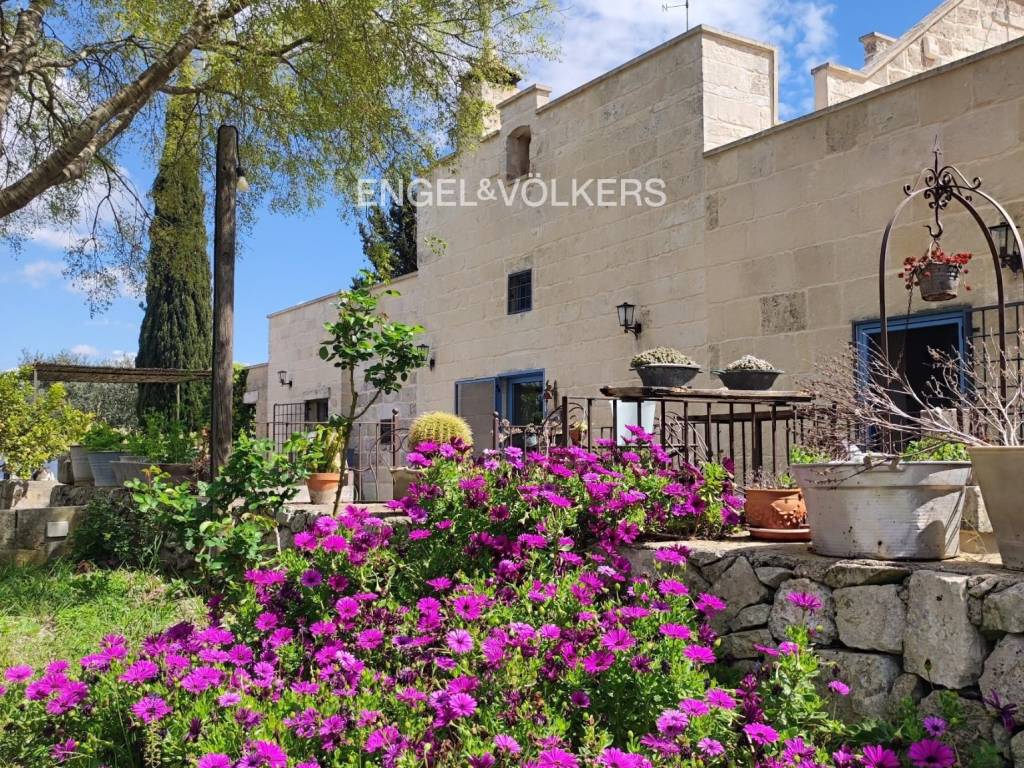 immagine annuncio 3 di 11