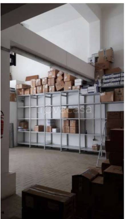 immagine annuncio 7 di 11