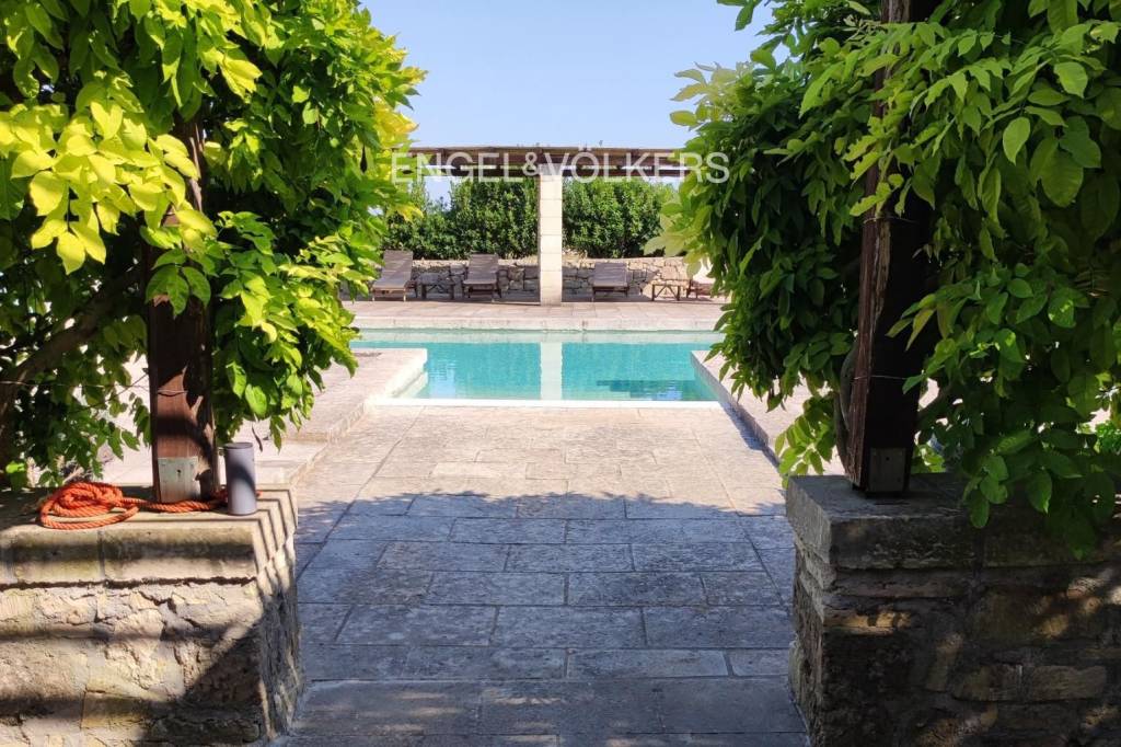 immagine annuncio 5 di 11