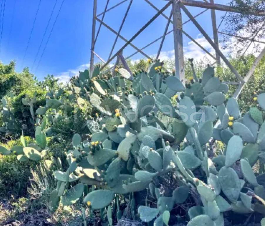 immagine annuncio 1 di 8