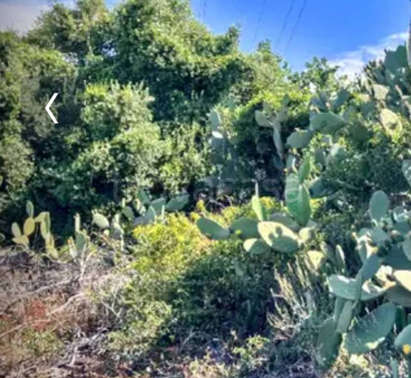 immagine annuncio 5 di 8