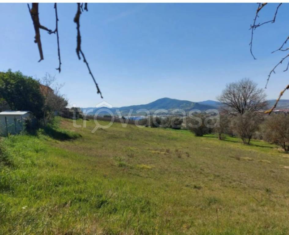 immagine annuncio 4 di 11