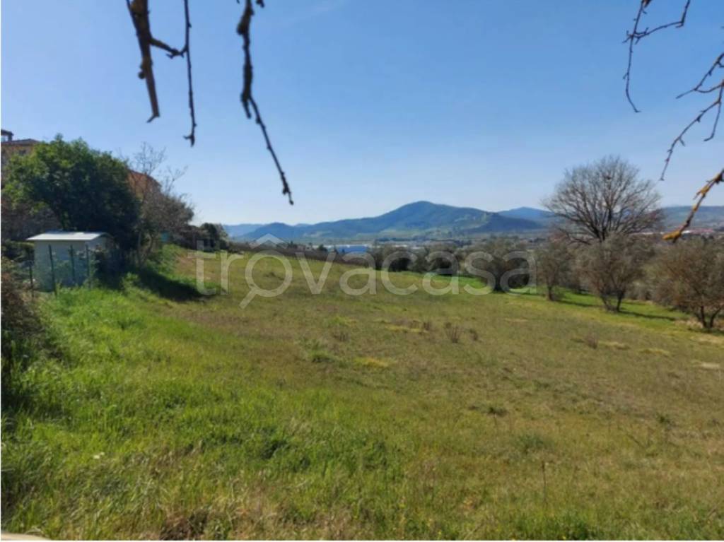 immagine annuncio 5 di 11