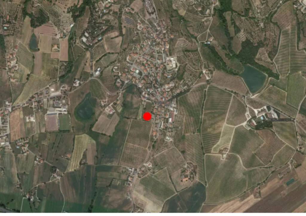 immagine annuncio 10 di 11