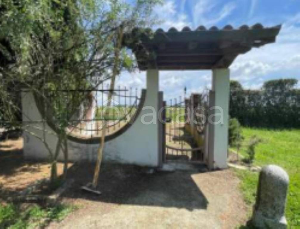 immagine annuncio 1 di 11