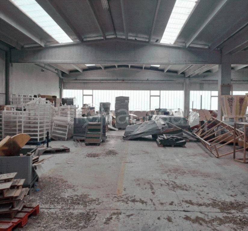 immagine annuncio 2 di 12