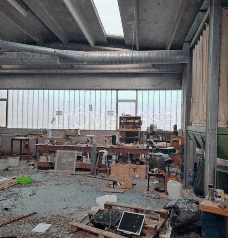 immagine annuncio 4 di 12