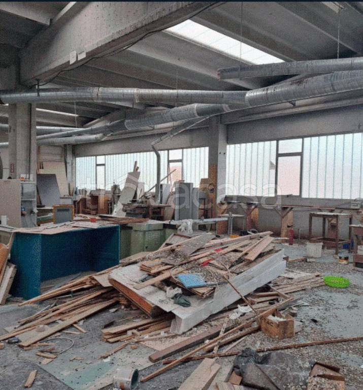 immagine annuncio 5 di 12