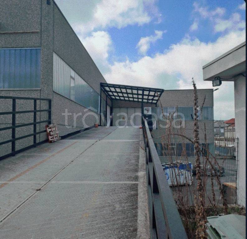 immagine annuncio 6 di 12