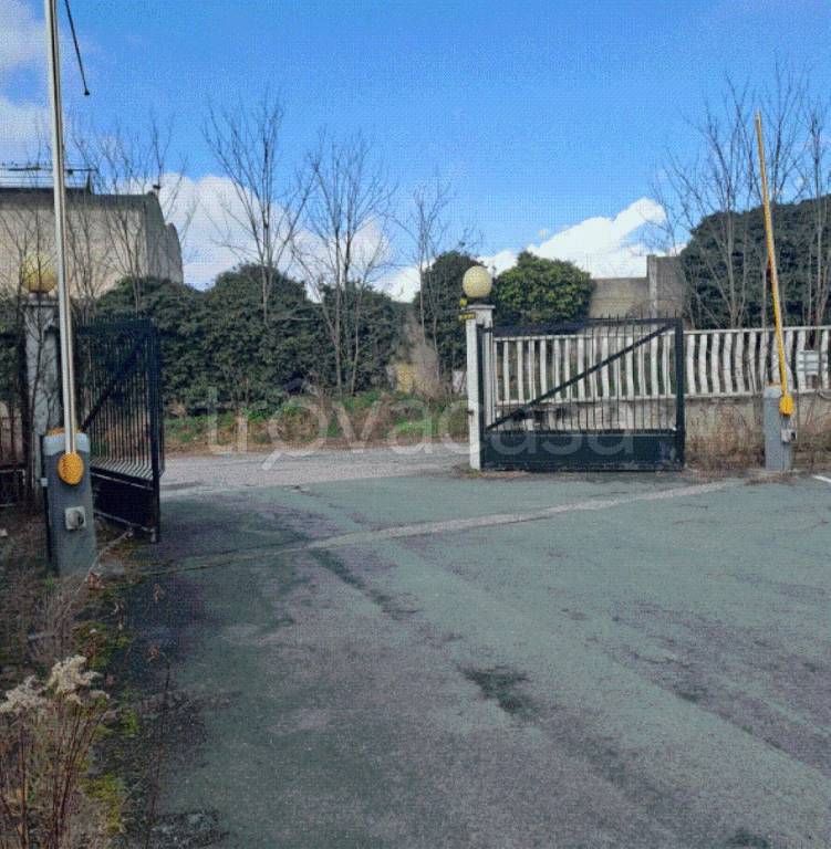 immagine annuncio 7 di 12