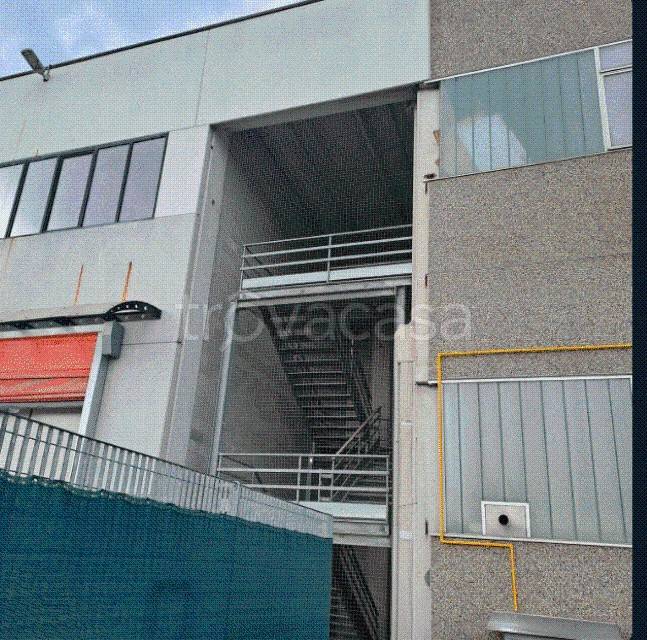 immagine annuncio 8 di 12