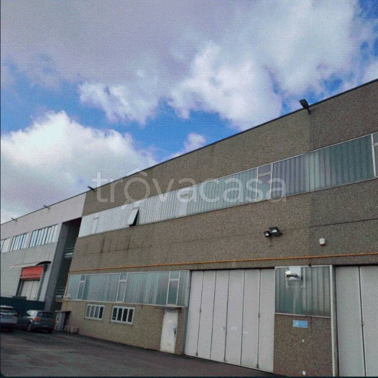 immagine annuncio 9 di 12