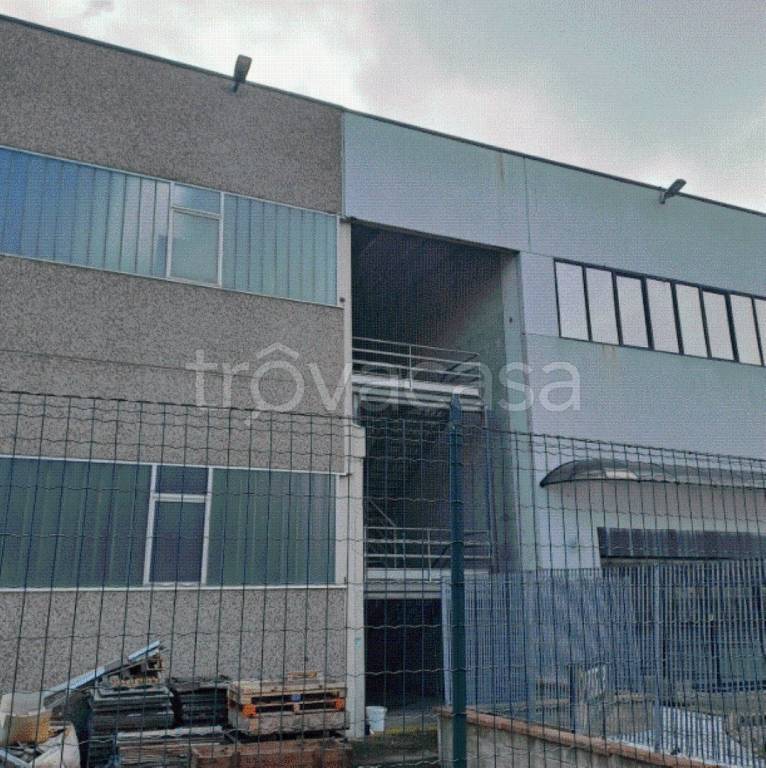 immagine annuncio 10 di 12