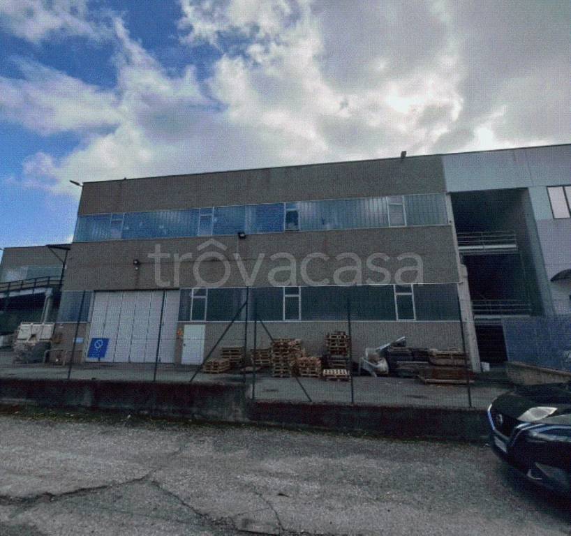 immagine annuncio 11 di 12