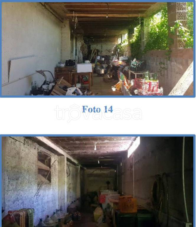 immagine annuncio 3 di 14