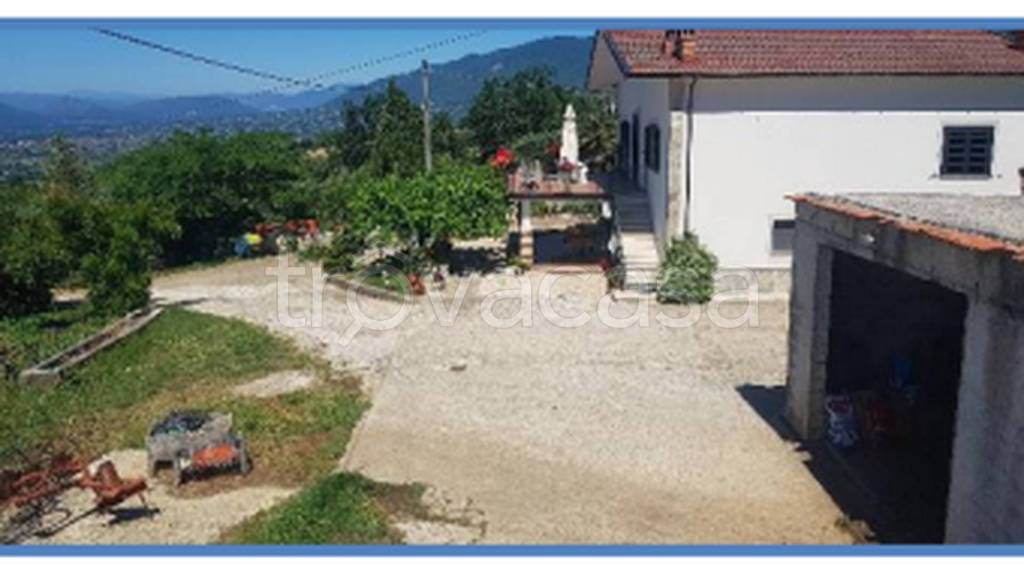 immagine annuncio 10 di 14