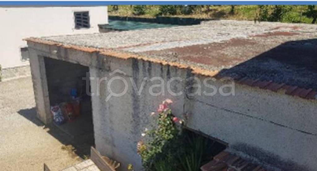 immagine annuncio 11 di 14