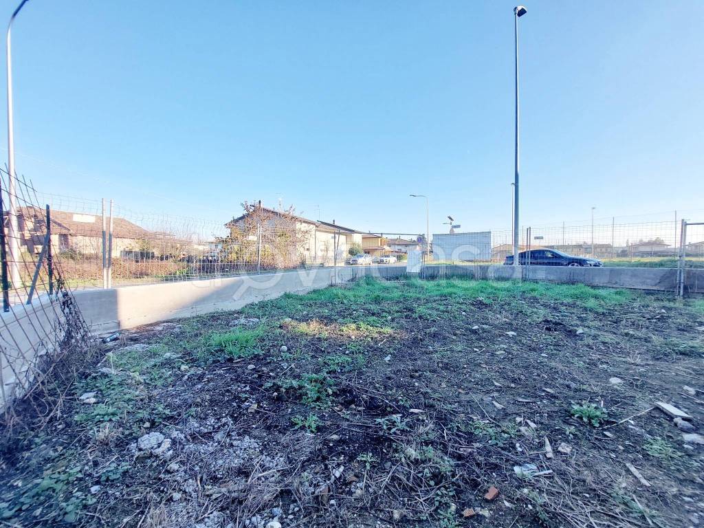 immagine annuncio 11 di 12