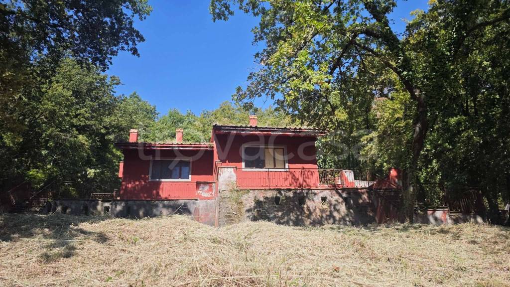 immagine annuncio 2 di 14