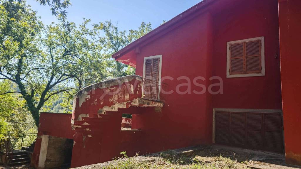 immagine annuncio 4 di 14