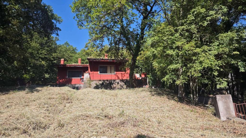 immagine annuncio 5 di 14