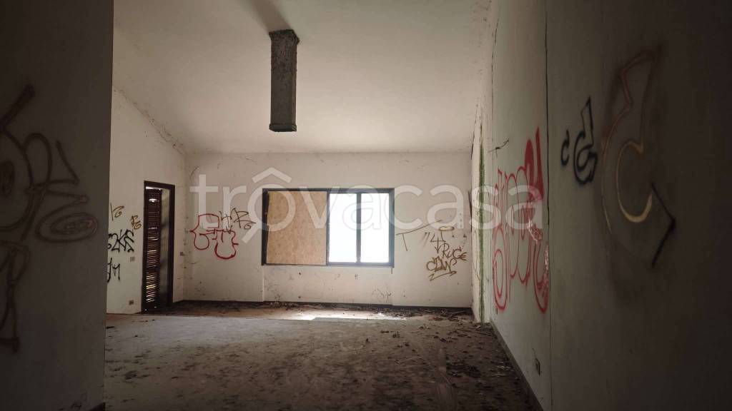 immagine annuncio 7 di 14