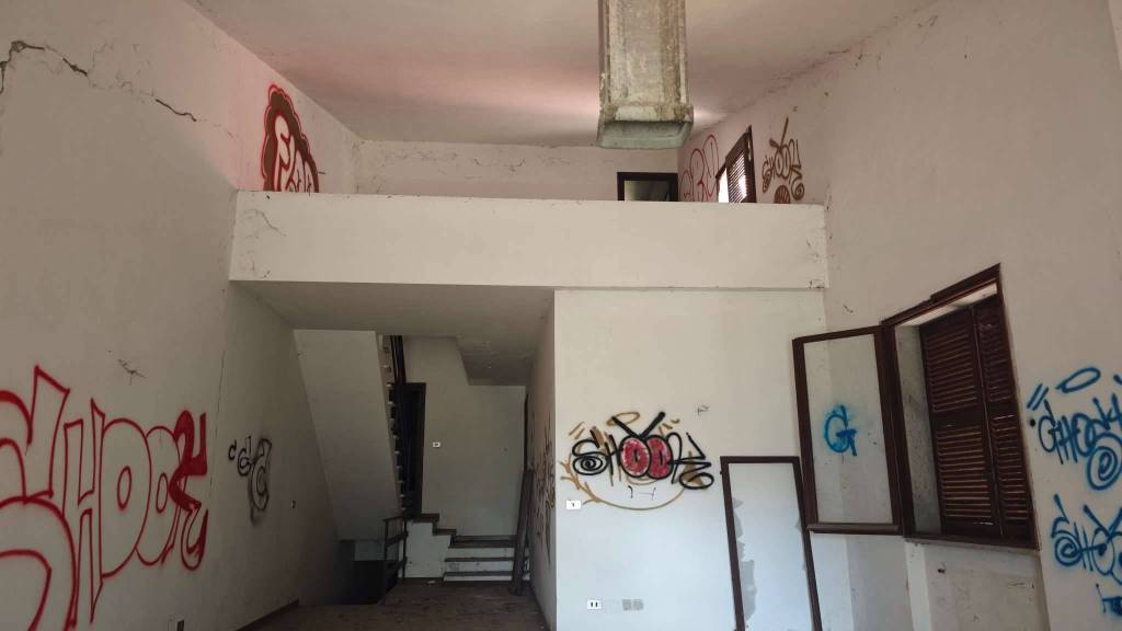 immagine annuncio 8 di 14