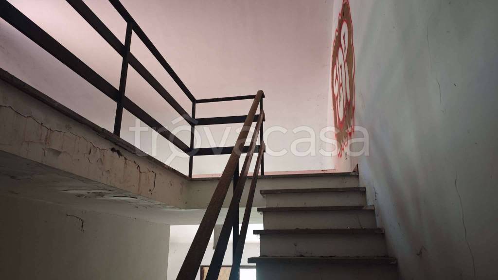 immagine annuncio 10 di 14