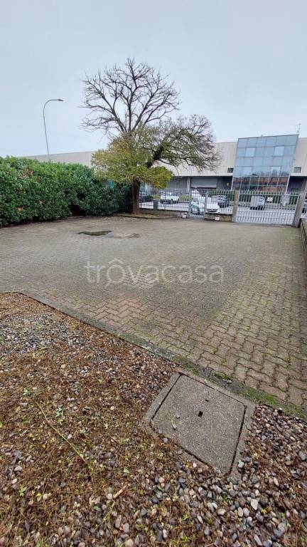 immagine annuncio 1 di 12