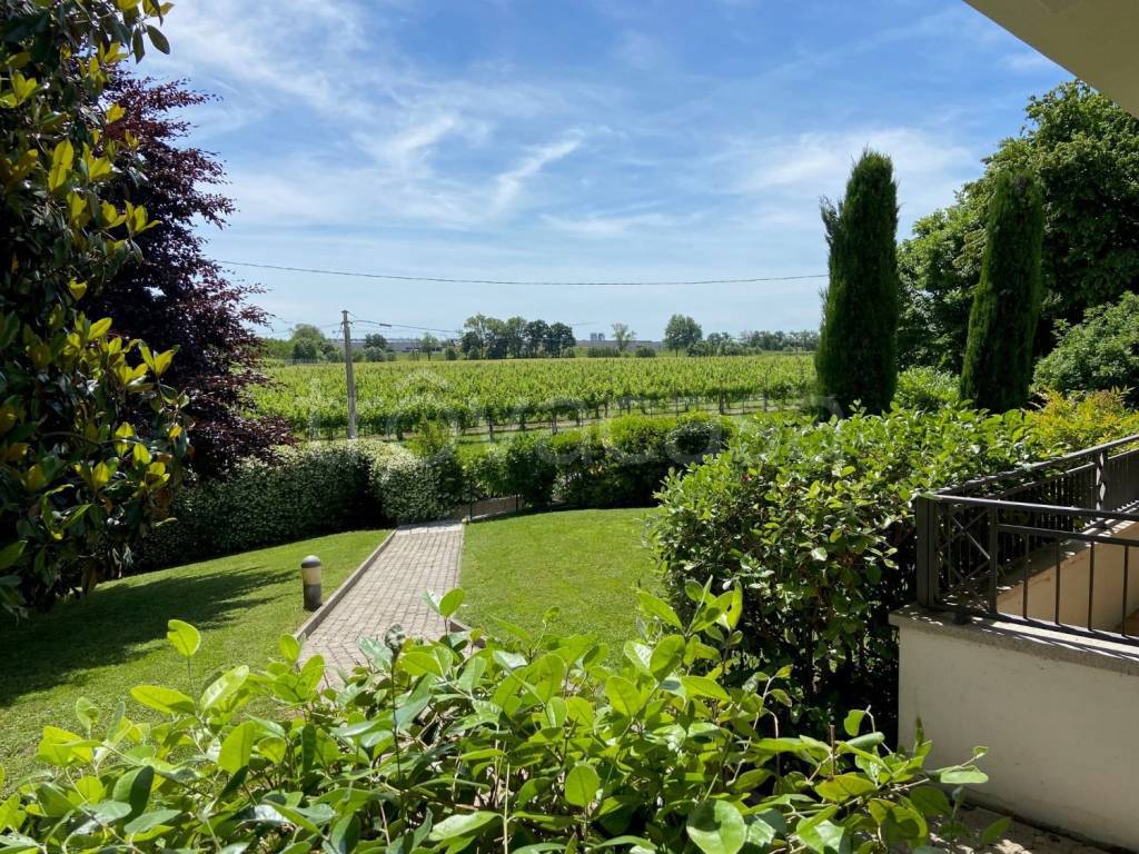 immagine annuncio 3 di 15