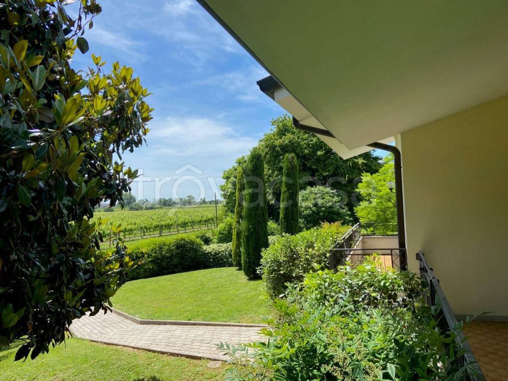 immagine annuncio 7 di 15