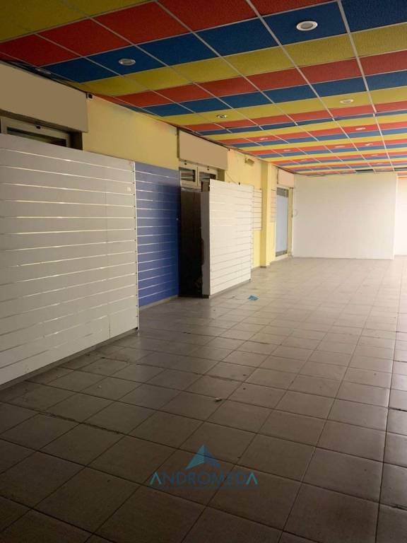 immagine annuncio 2 di 7