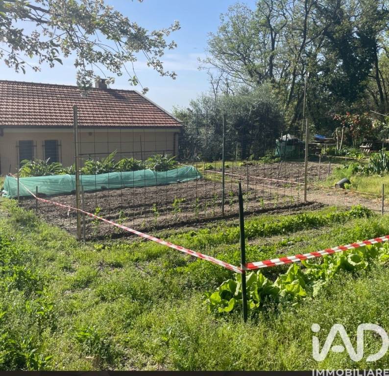 immagine annuncio 8 di 12