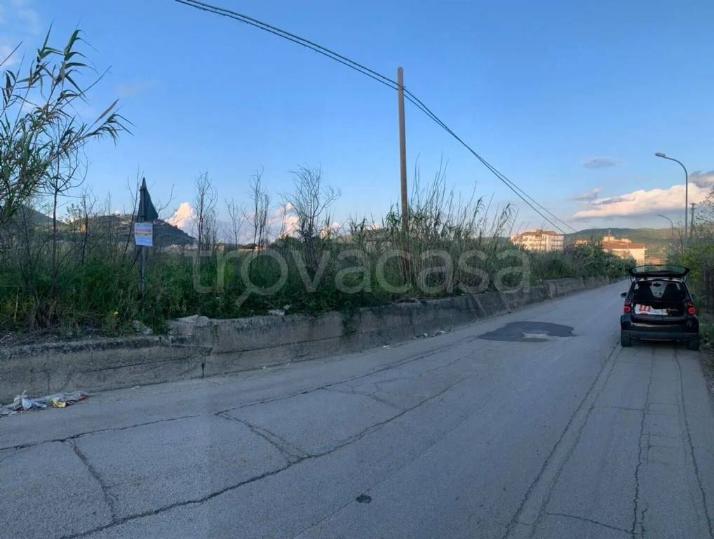 immagine annuncio 1 di 2