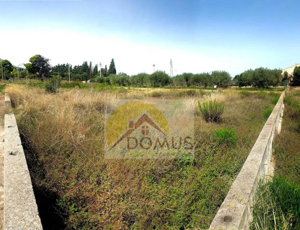 immagine annuncio 4 di 6