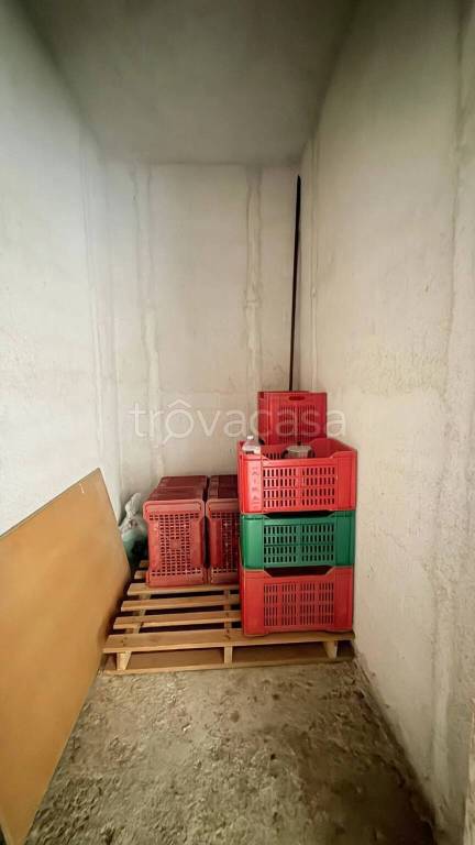 immagine annuncio 12 di 13