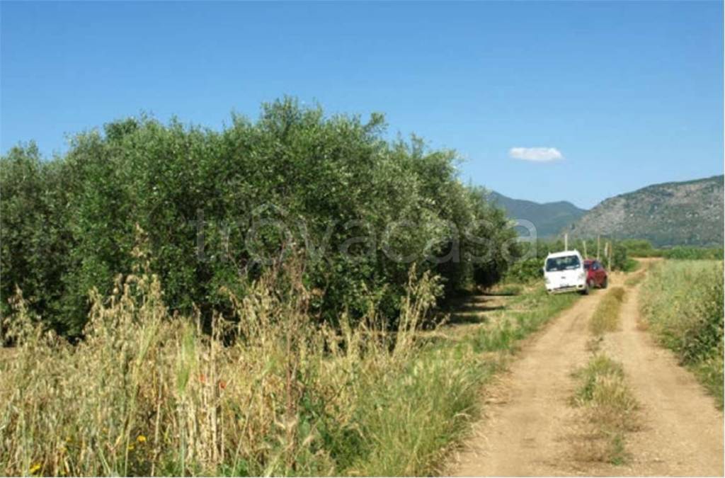 immagine annuncio 2 di 7