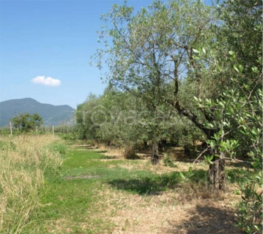 immagine annuncio 4 di 7